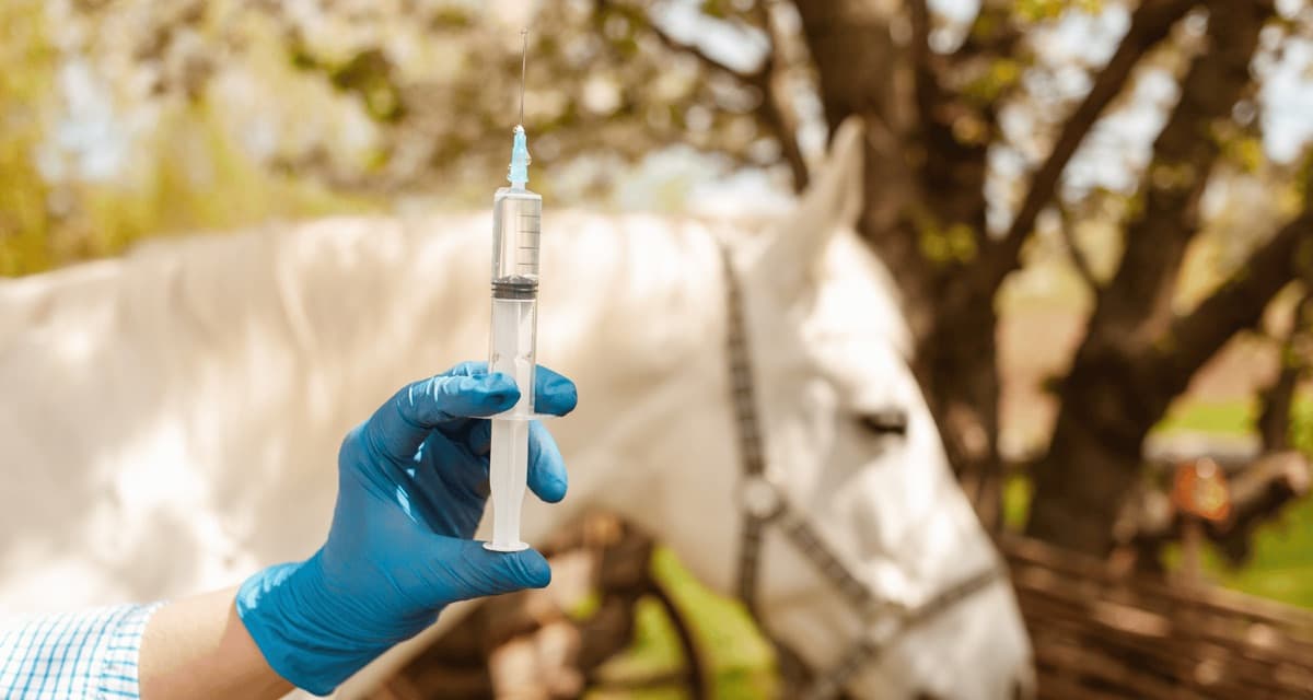 Trauma-informed care during ketamine therapy sessions