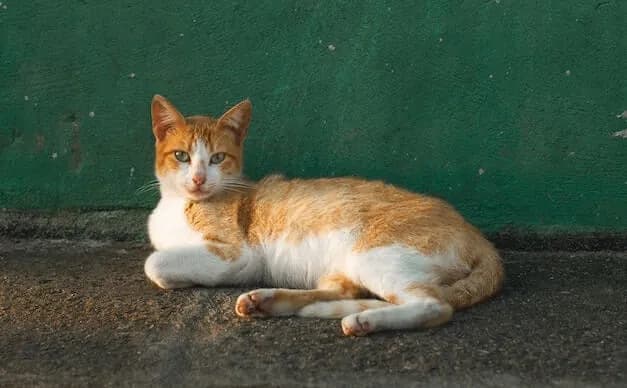 Ketamine postpartum depression research - rapid-acting treatment for new mothers