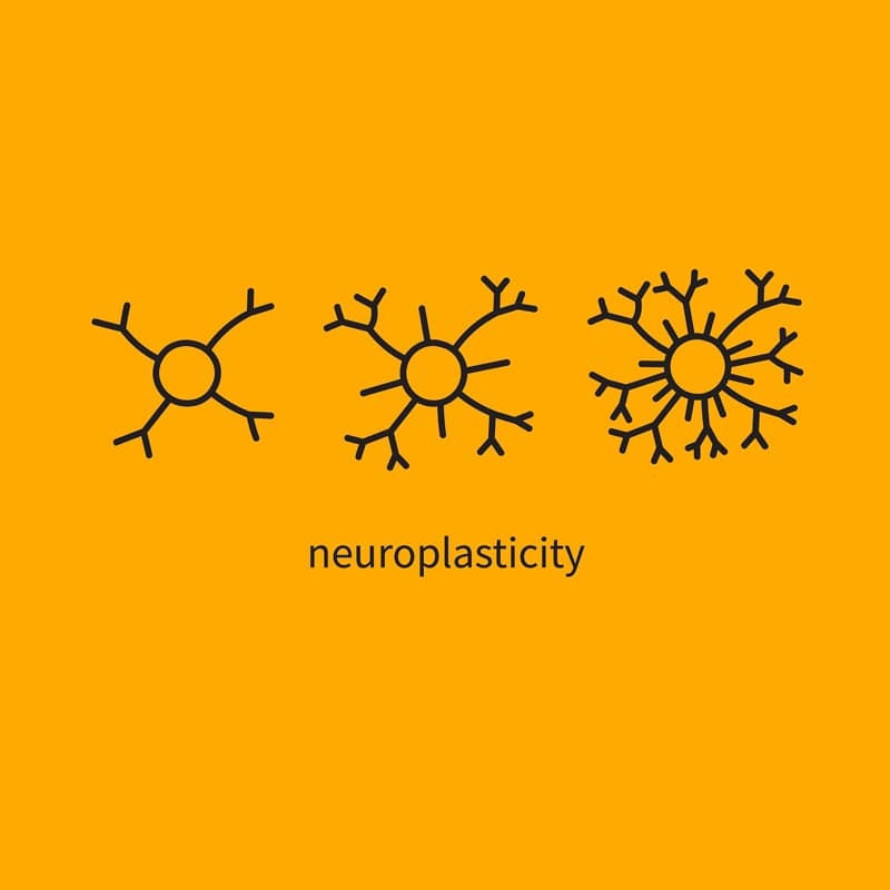 ketamine treatment increases neuroplasticity