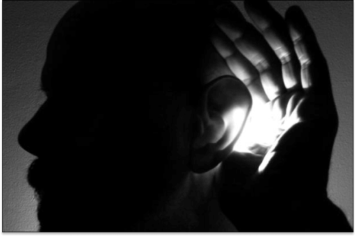 Ketamine psilocybin neuroplasticity comparison - how psychedelics reshape the brain