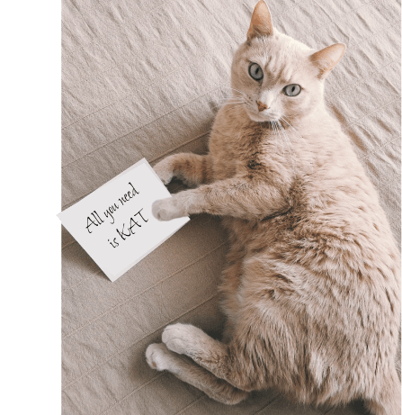 All you need is kat 1)