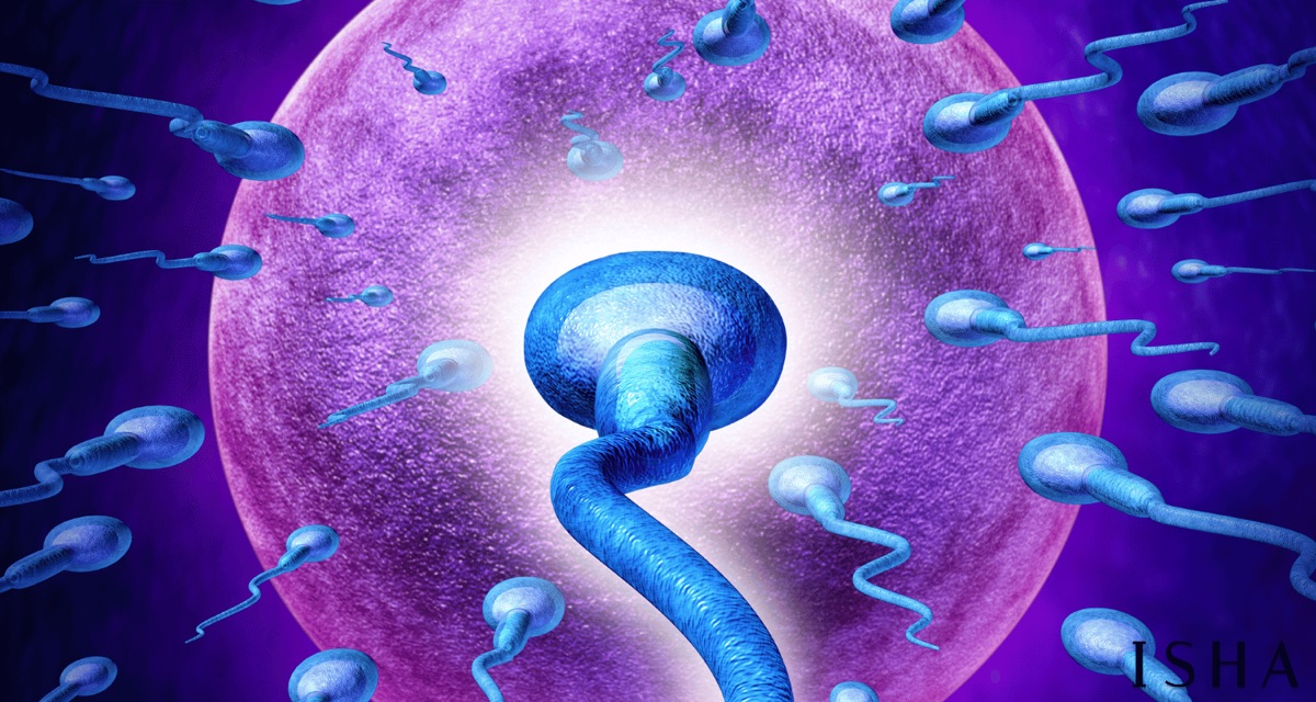 Does Ketamine Affect Male Fertility